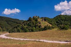 POLENO